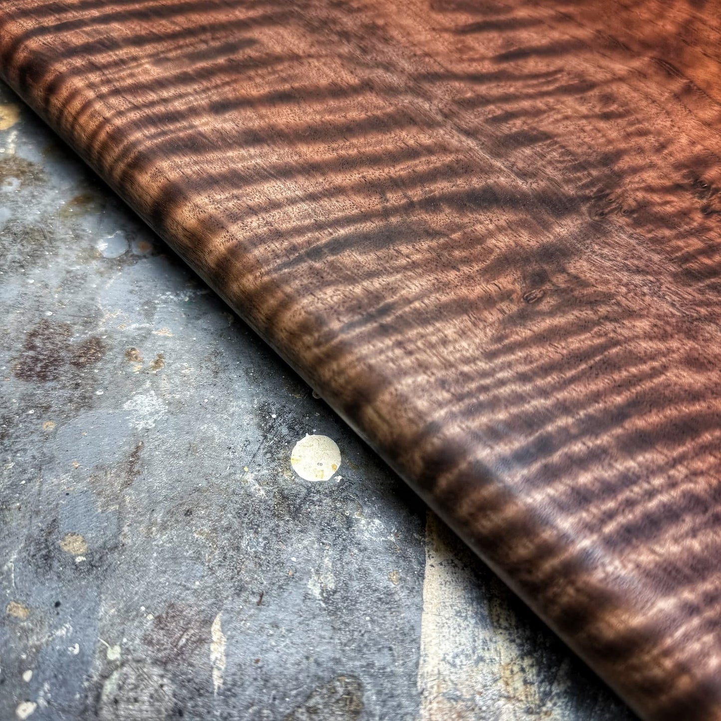 No. 255 | Curly Walnut | 9x27