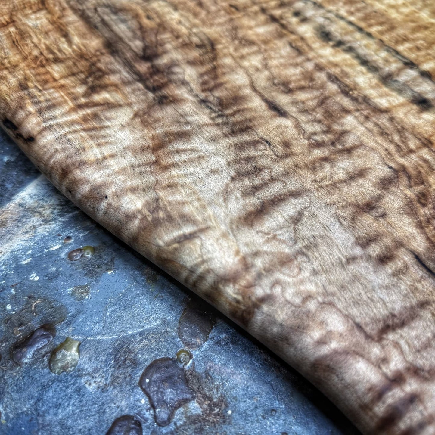 No. 253 | Quilted Maple | 13x28