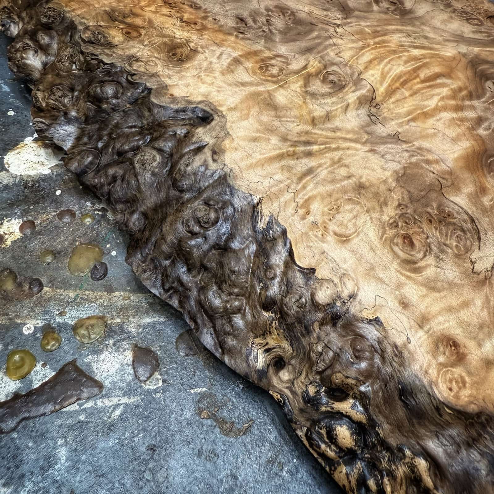 detail of live edge burl transition and polished surface