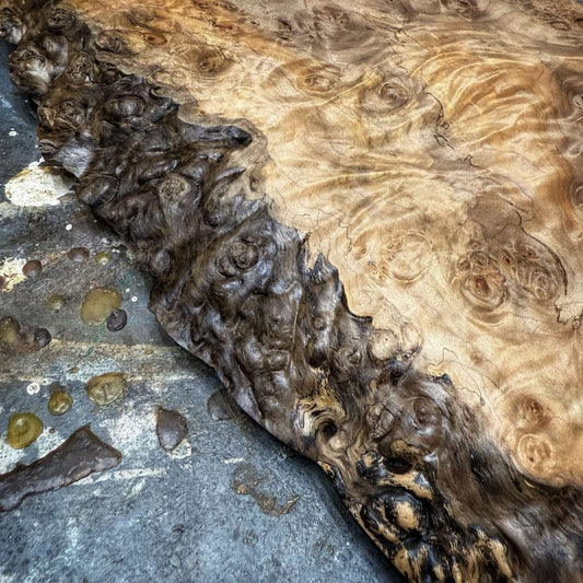 detail of live edge burl transition and polished surface