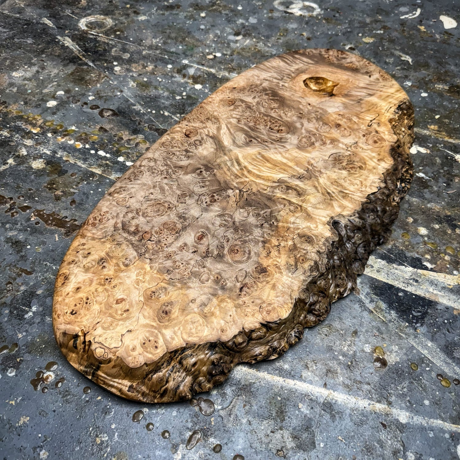 artisan crafted hardwood serving piece showcasing dramatic burl character, soft natural color, and refined hand shaped contours created by JML Woodcraft