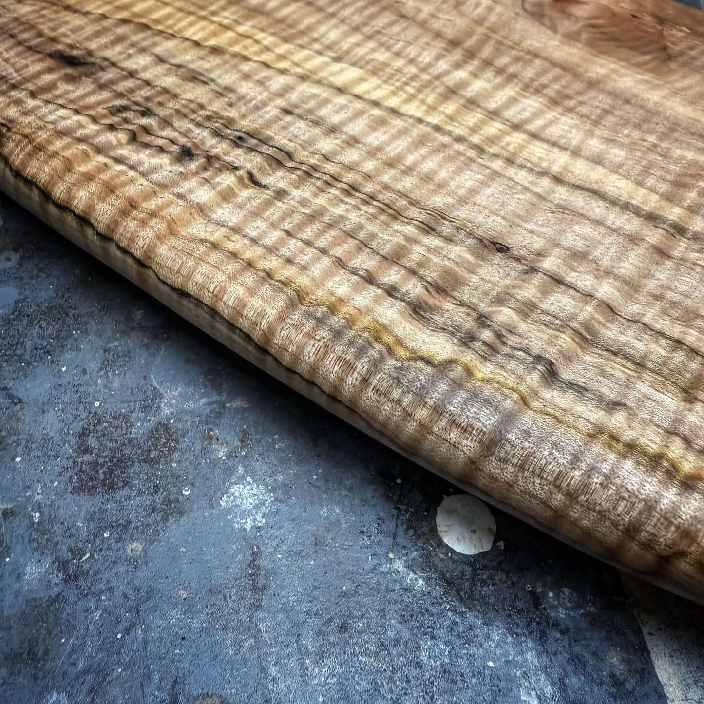 detail of tight curl and spalting in ambrosia maple serving board