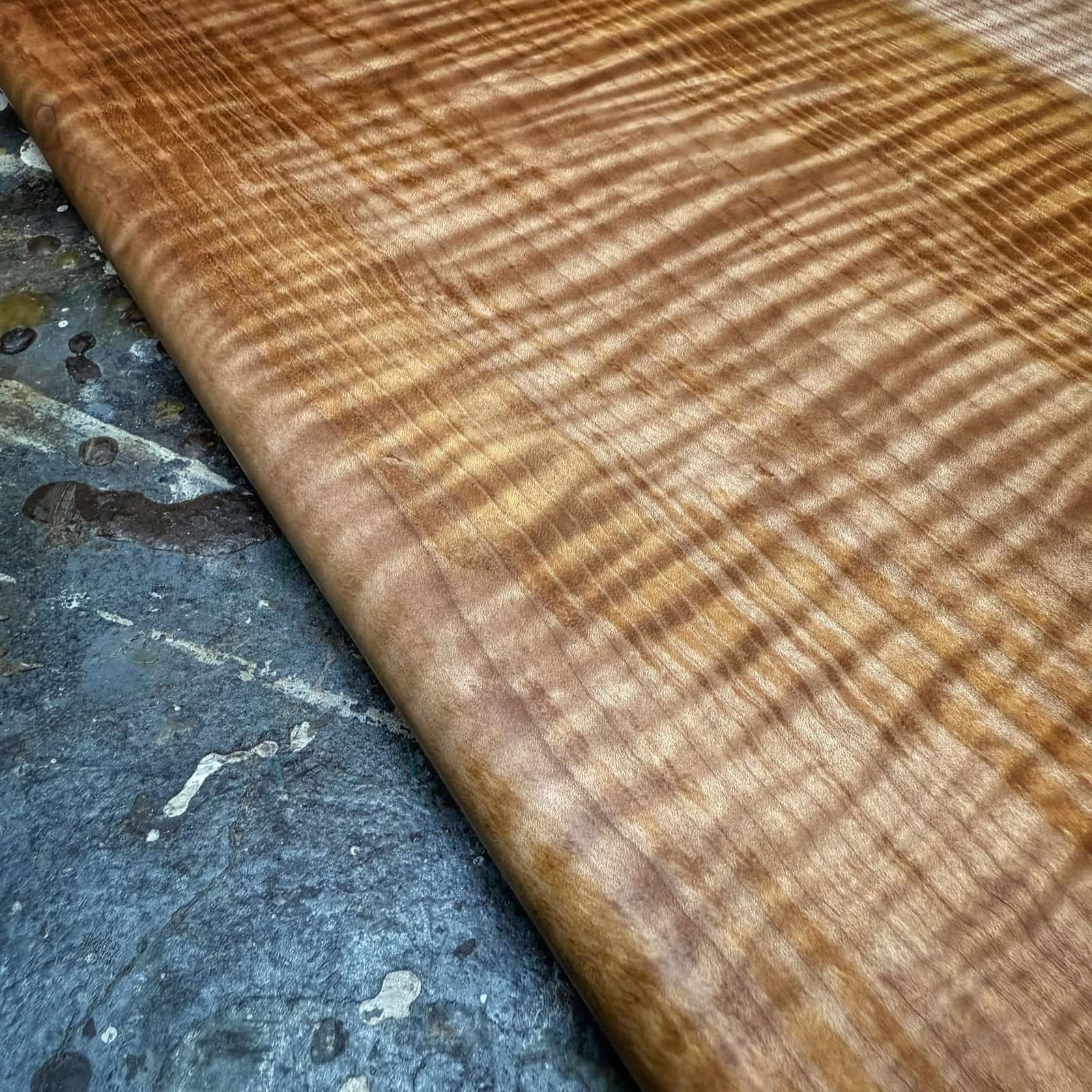 closeup of super tight curly maple figure and color contrast